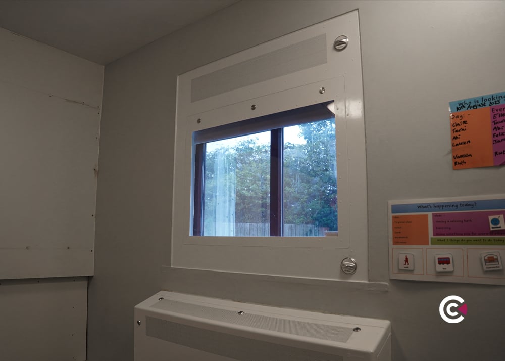 inset window protector