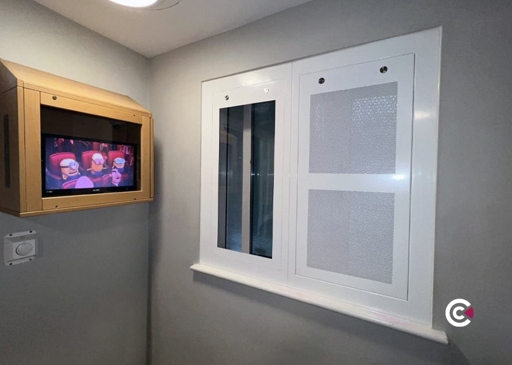 anti ligature window protection