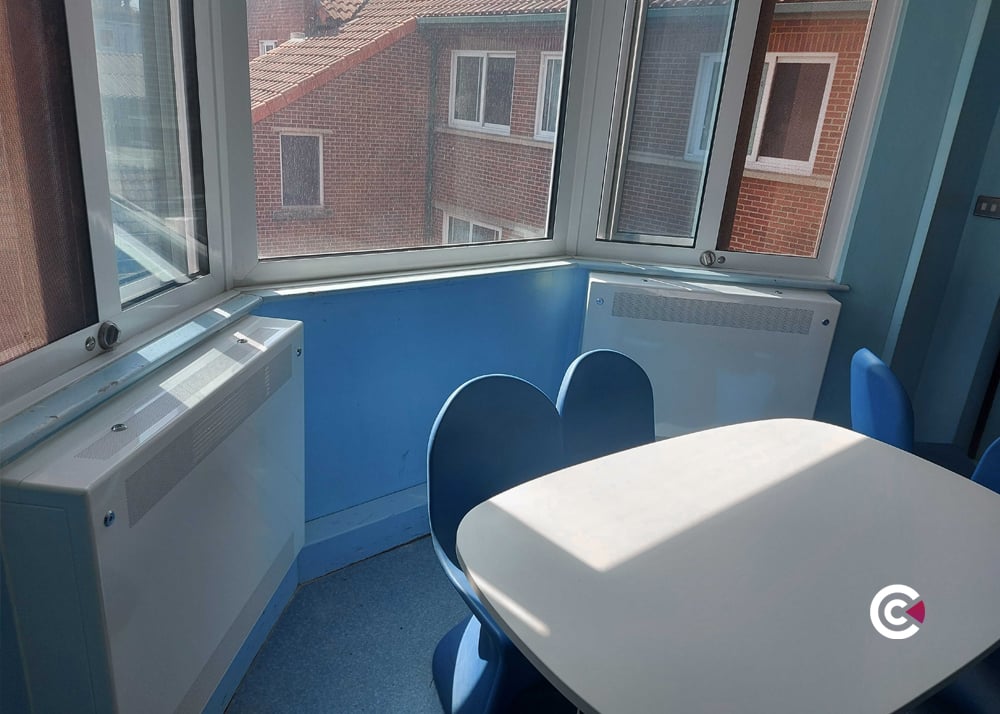 anti-ligature radiator guard